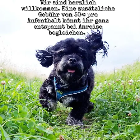 Ferienoase Mueller Lichtenhain (Sebnitz)